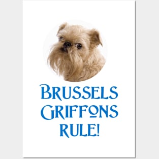 Brussels Griffons Rule! Posters and Art